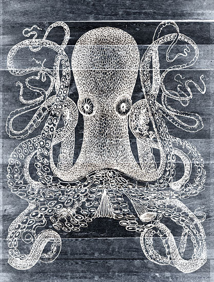 Stellar Design Studio SDS389 - SDS389 - Kraken I - 12x16 Kraken, Octopus, Coastal, Blue & White from Penny Lane