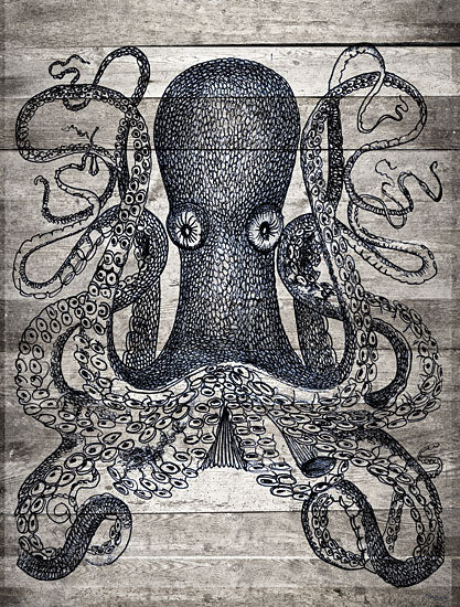 Stellar Design Studio SDS390 - SDS390 - Kraken II - 12x16 Octopus, Coastal, Sea Creature from Penny Lane