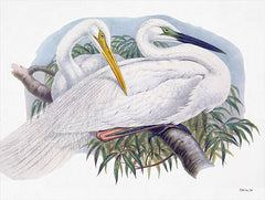 SDS391 - Goulds Coastal Bird I - 16x12