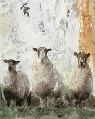 SDS401 - Three Sheep - 12x16