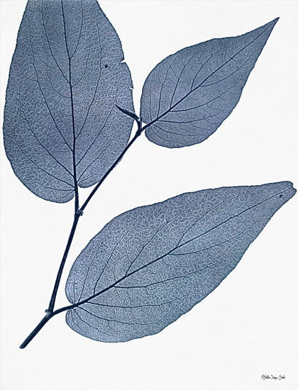 Stellar Design Studio SDS430 - SDS430 - Indigo Nature Study II - 12x16 Indigo Nature Study, Leaves, Blue and White, Botanical from Penny Lane