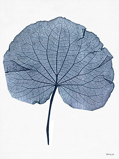 Stellar Design Studio SDS432 - SDS432 - Indigo Nature Study IV - 12x16 Indigo Nature Study, Leaf, Blue and White, Botanical from Penny Lane