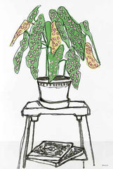 SDS438 - House Plant Study I - 12x18