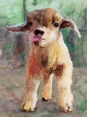 SDS487 - Baby Goat - 12x16