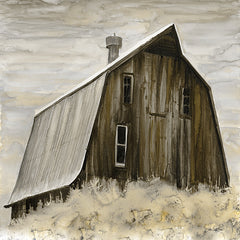 SDS497 - Rustic Barn - 12x12