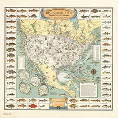 SDS501 - Big Game Fish Map - 12x12