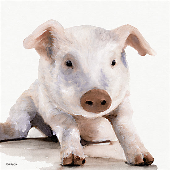 Stellar Design Studio SDS519 - SDS519 - Biscuit - 12x12 Pig, Farm Animal, Portrait from Penny Lane