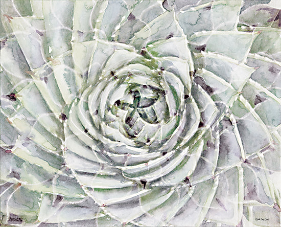 Stellar Design Studio SDS550 - SDS550 - Succulent Macro  - 12x12 Succulents, Cactus, Botanical from Penny Lane