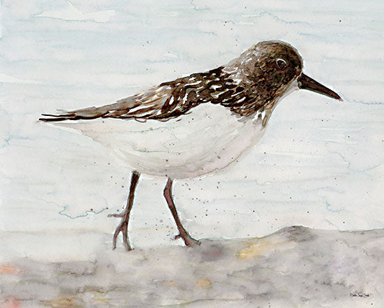 Stellar Design Studio SDS561 - SDS561 - Sanibel Piper 2   - 16x12 Sanibel Sandpiper, Sandpiper, Bird, Coastal, Beach from Penny Lane