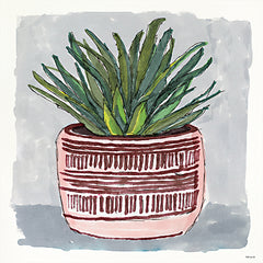 SDS570 - Potted Agave I - 12x12