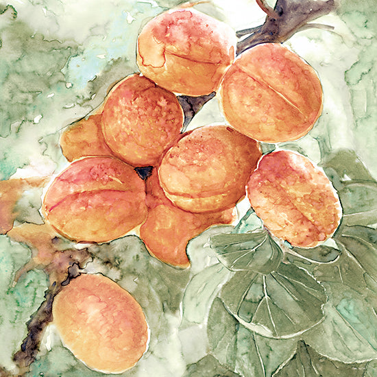 Stellar Design Studio SDS574 - SDS574 - Peach Branch - 12x12 Peaches, Peach Tree, Tree from Penny Lane