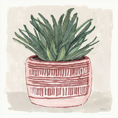 SDS614 - Agave 1 - 12x12