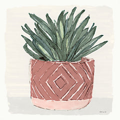 SDS615 - Agave 2 - 12x12