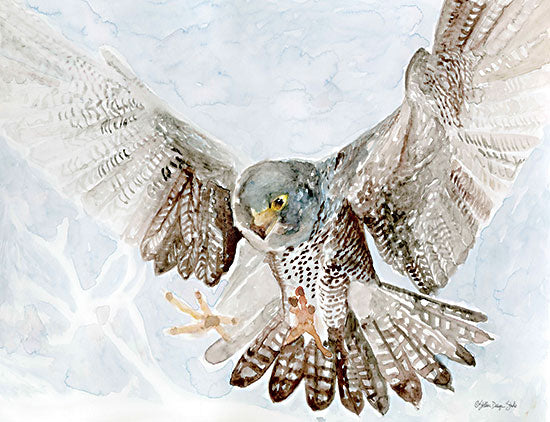 Stellar Design Studio SDS790 - SDS790 - Falcon - 16x12 Falcon, Bird, Watercolor from Penny Lane