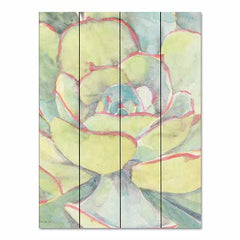 SDS824PAL - Succulent Bloom 2 - 12x16