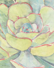 SDS824 - Succulent Bloom 2 - 12x16