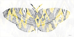 SDS847 - Yellow-Gray Patterned Moth 1 - 18x9