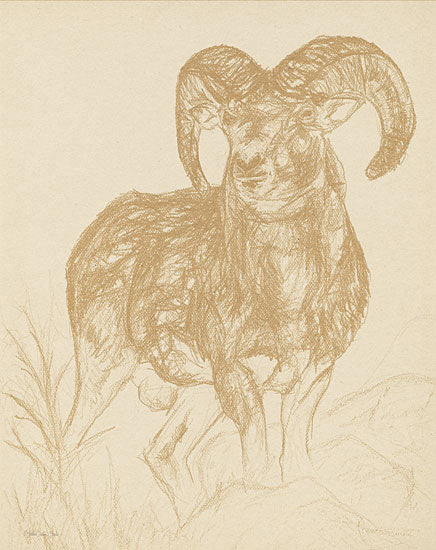 Stellar Design Studio SDS857 - SDS857 - Big Horn Sketch - 12x16 Ram, Male Sheep, Sketch, Neutral Palette, Abstract, Big Horn Sheep from Penny Lane