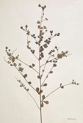 SDS870 - Herbarium Collection 2 - 12x18