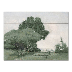 SDS874PAL - Green Trees     - 16x12