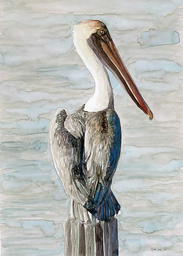 Stellar Design Studio Licensing SDS929LIC - SDS929LIC - Brown Pelican 1  - 0  from Penny Lane