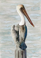 SDS929LIC - Brown Pelican 1  - 0