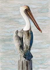 SDS929 - Brown Pelican 1 - 12x18