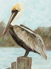 SDS931 - Brown Pelican 3 - 12x16