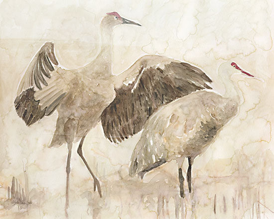 Stellar Design Studio SDS960 - SDS960 - Sandhill Cranes 2 - 16x12 Sandhill Cranes, Cranes, Birds, Coastal, Abstract from Penny Lane