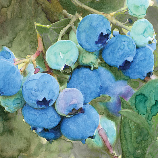 Stellar Design Studio SDS988 - SDS988 - Blueberries 2 - 12x12 Abstract, Blueberries, Fruit, Kitchen from Penny Lane