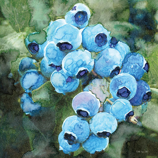 Stellar Design Studio SDS989 - SDS989 - Blueberries 3 - 12x12 Abstract, Blueberries, Fruit, Kitchen from Penny Lane