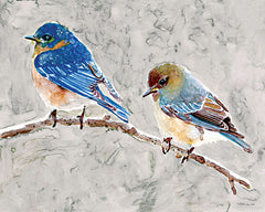 SDS991 - Eastern Bluebirds 1 - 16x12