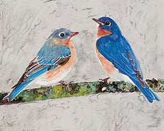 SDS992 - Eastern Bluebirds 2 - 16x12