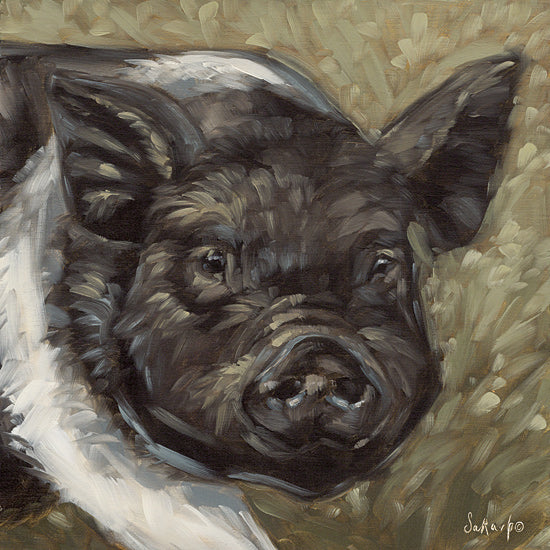 Sara G. Designs SGD200 - SGD200 - Farm Fellow II - 12x12 Pig, Black & White Pig, Farm Animal, Portrait,  Brush Strokes from Penny Lane