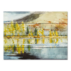 ST1001PAL - Peaceful Landscape - 16x12