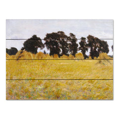 ST1002PAL - The Field - 16x12