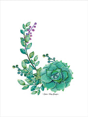 ST165 - Succulent Plant I - 12x16