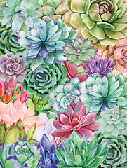 ST699 - Succulents Paradise - 12x16