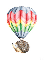 ST733 - Hot Air Hedgehog II   - 12x16