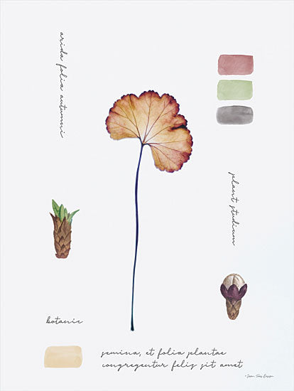 Seven Trees Design ST875 - ST875 - Botanical Notes - 12x16 Botanical Notes, Plant Study, Research from Penny Lane