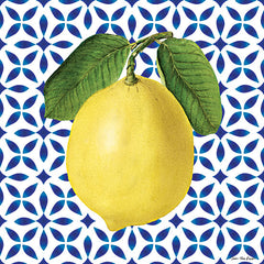 ST945 - Mediterranean Lemon - 12x12