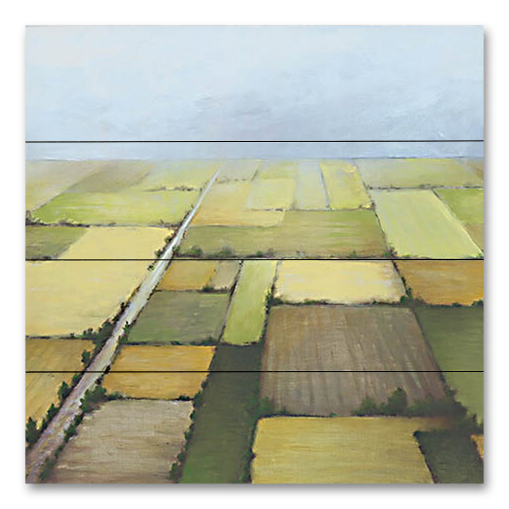 White Ladder WL193PAL - WL193PAL - Farmland from Above - 12x12 Landscape, Farmland, Aerial View, Plots of Farmland from Penny Lane