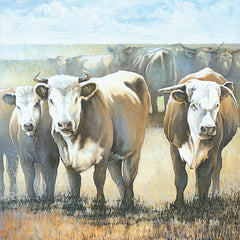 WL223 - Bulls in the Field   - 12x12