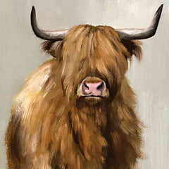 WL234 - Harry the Highland - 12x12