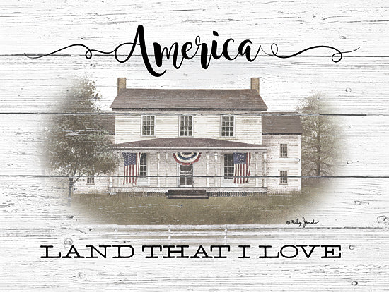 Billy Jacobs BJ1203 - BJ1203 - America - 16x12 America, Home, Homestead, Patriotic, American Flag, Shiplap, Americana from Penny Lane