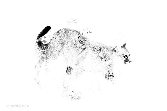 Bluebird Barn BLUE111 - Prowling Wild Minimalist Mountain Lion - 18x12 Mountain Lion, Lion, Prowling Lion, Black & White, Filter from Penny Lane