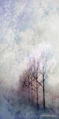 BLUE230 - First Light Winter Forest - 12x24