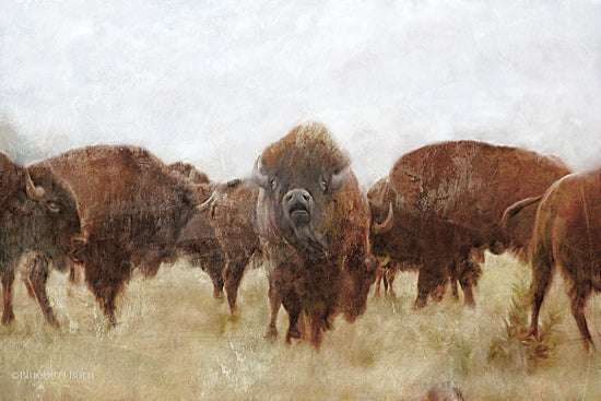 Bluebird Barn BLUE368 - BLUE368 - Buffalo - 18x12 Buffalo, Abstract, Herd, Grazing, Landscape from Penny Lane