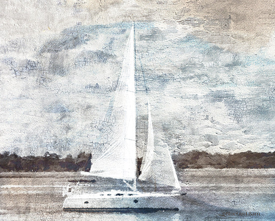 Bluebird Barn BLUE380 - BLUE380 - Sailboat on Water - 16x12 Nautical, Vintage, Coastal, Seaside, Sailboat, Boat from Penny Lane