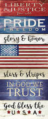 CIN1018 - God Bless the USA - 8x20